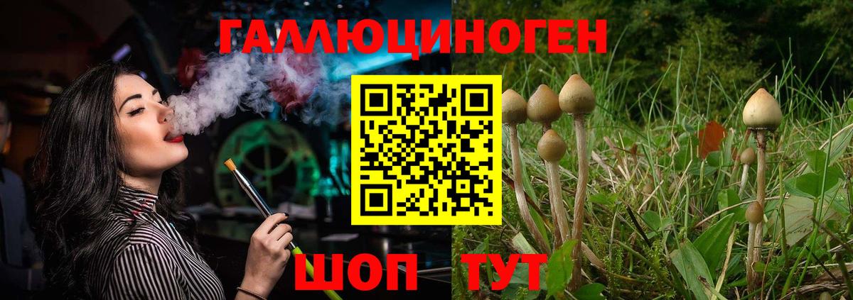 Киров  Галлюциногенные грибы GOLDEN TEACHER  Псилоцибиновые грибы мухоморы  Вход с VPN 